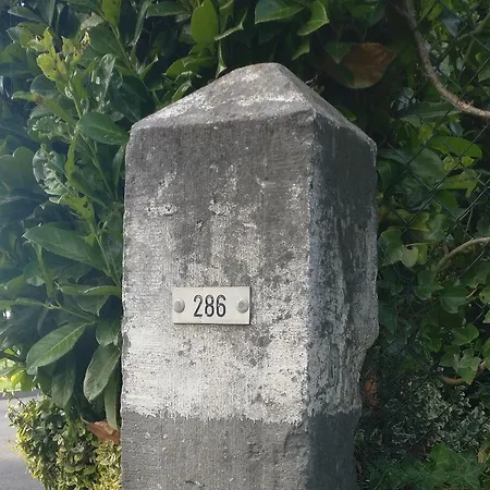 Bed & Breakfast Grenspaal 286 3*