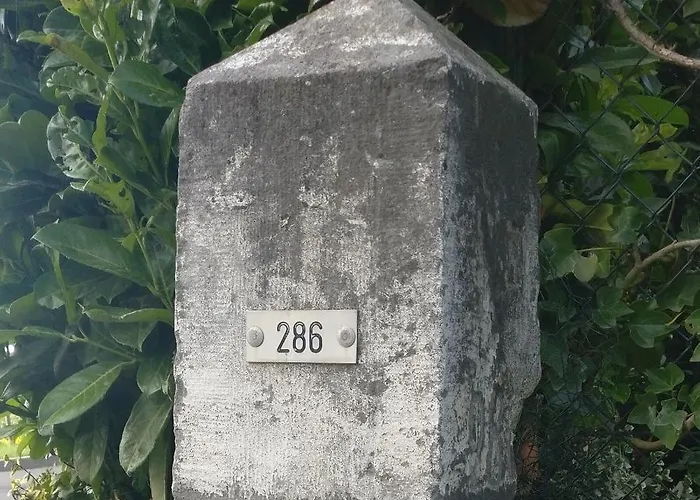 Bed & Breakfast Grenspaal 286 3*